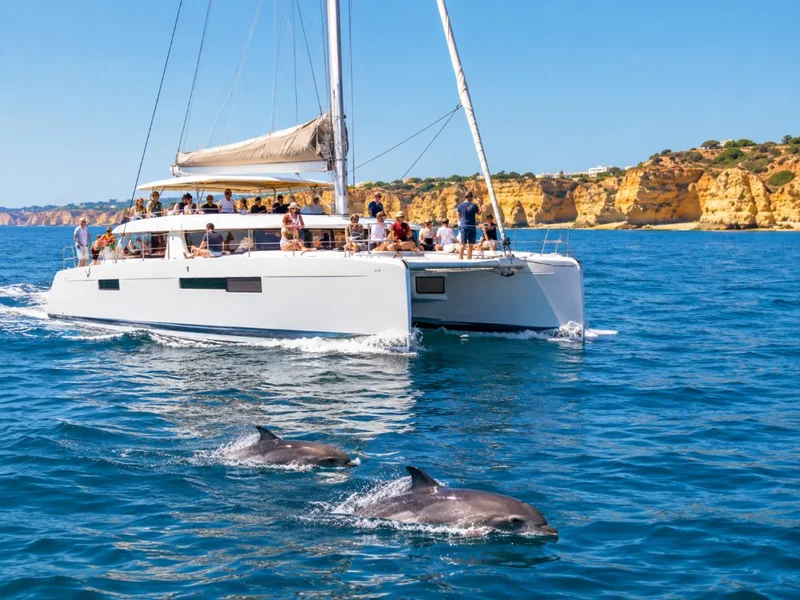 From Albufeira: Caves & Dolphins Guided Boat Tour